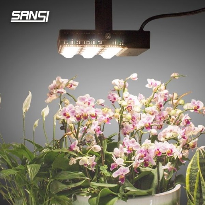 SANSI Lighting Review